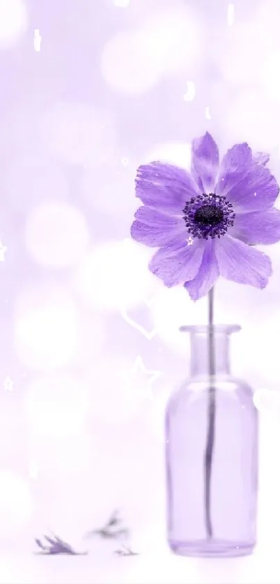 Lavender flower in a vase with bokeh background.