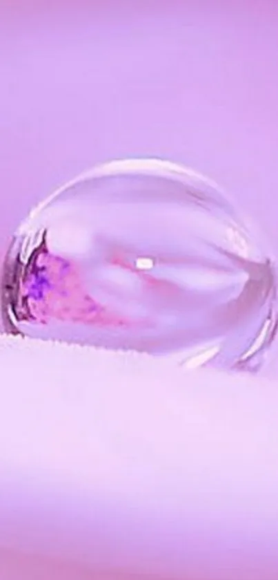 Lavender-themed wallpaper with a clear water droplet.