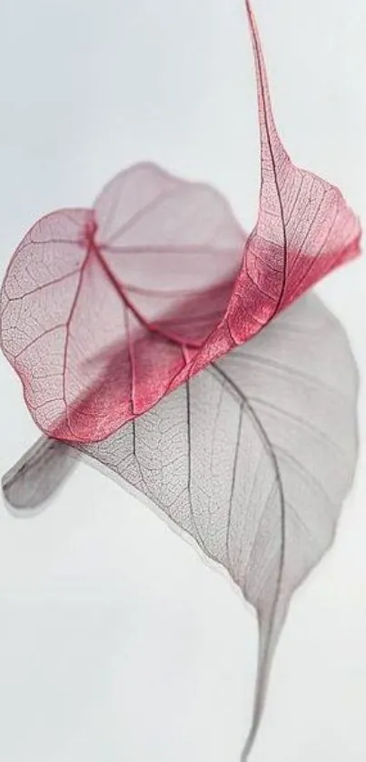 Delicate pink and gray leaves create an elegant mobile wallpaper design.