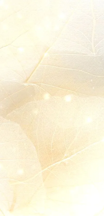 Beige translucent leaf texture wallpaper with a soft, natural design.