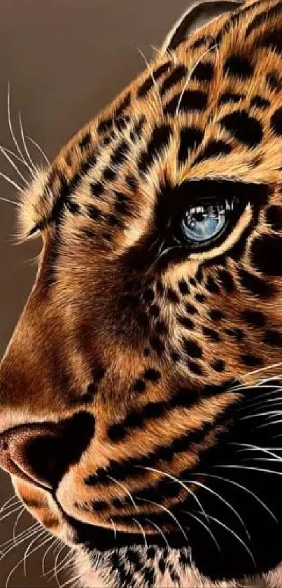 Close-up of a leopard's face with detailed features and striking blue eye.