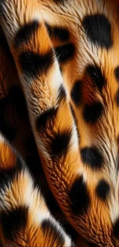 Leopard fur pattern wallpaper with rich texture.