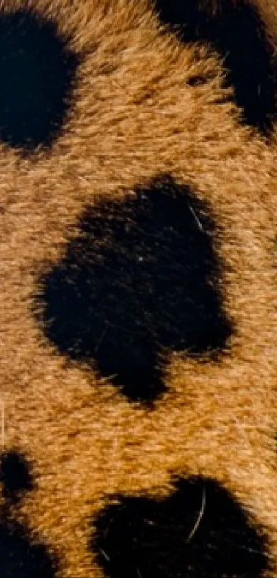 Close-up of a leopard's profile with detailed spots and intense gaze.