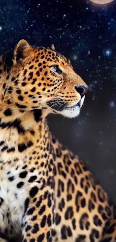 Leopard gazes into a starry night under the moon's glow, creating a stunning visual.