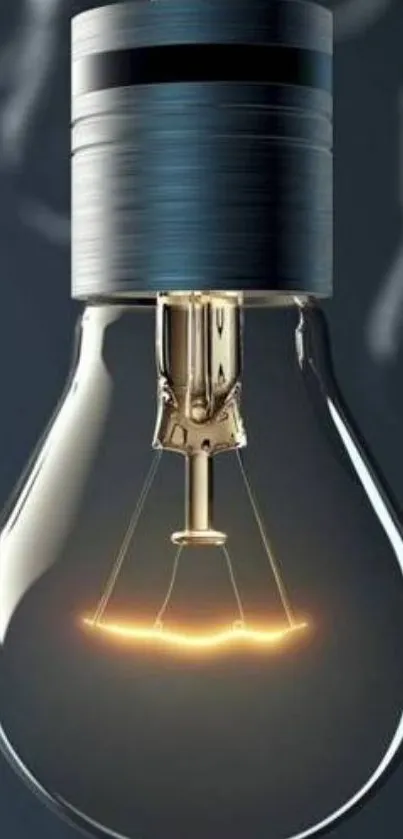 Elegant light bulb with glowing filament on dark gray background.