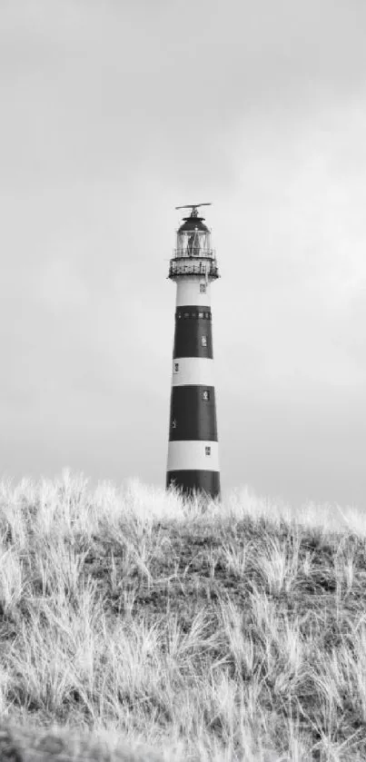 Elegant lighthouse standing on a hill under a gray, cloudy sky.