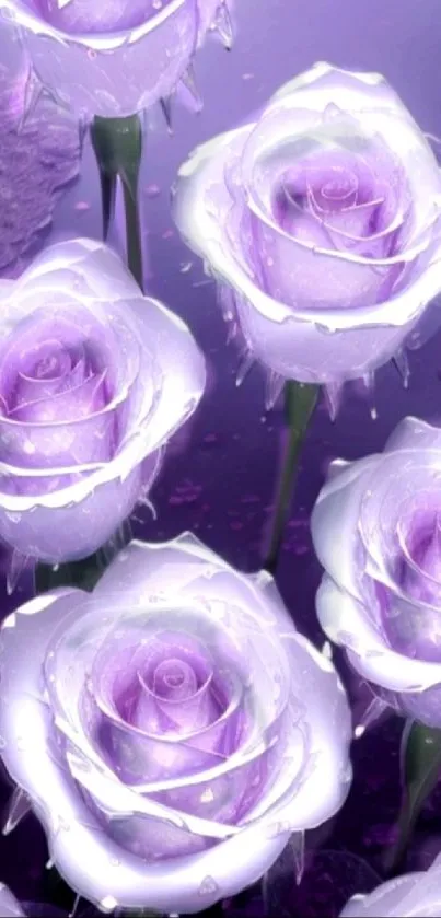 Elegant lavender roses wallpaper with serene aesthetic.