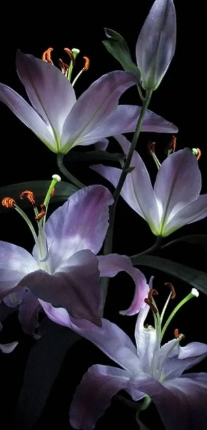 Elegant mobile wallpaper with lilies on black background.