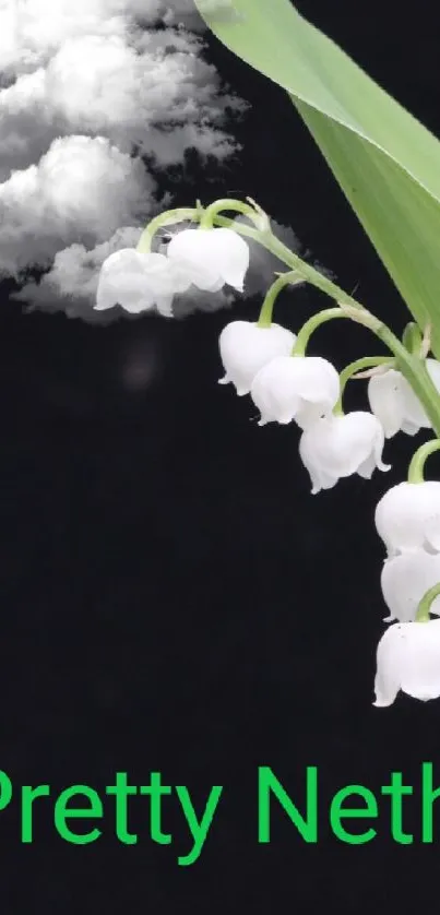 Lily of the valley on sleek black wallpaper.