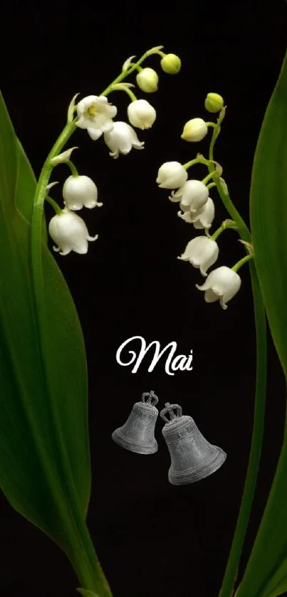 Lily of the valley flowers with green leaves on a black background.