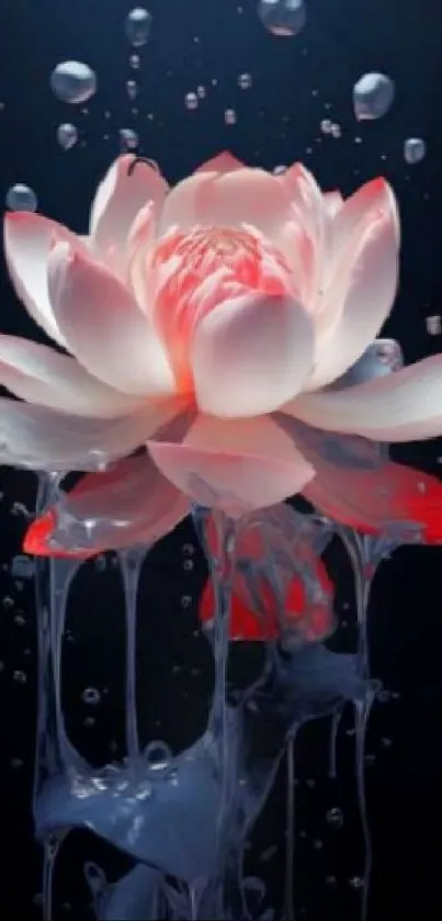 Elegant pink lotus flower against dark water background.