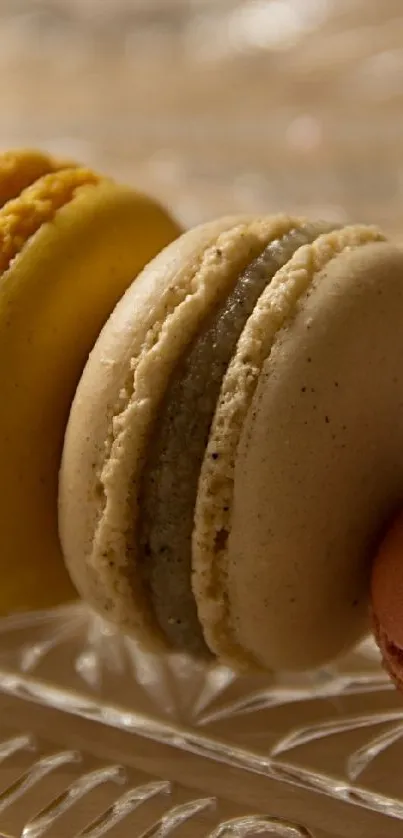 A row of colorful macarons displayed on a glass platter, highlighting a beige and pastel theme.