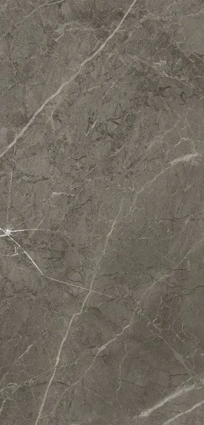 Elegant marble wallpaper with natural vein patterns.