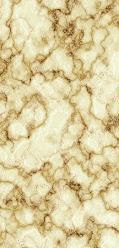 Elegant beige marble texture wallpaper with earthy tones for mobile.