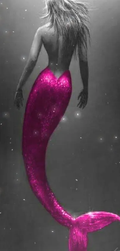 Elegant mermaid wallpaper with a vibrant magenta tail.