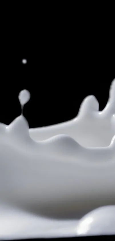 Elegant milk splash wallpaper with dynamic white curves on black background.