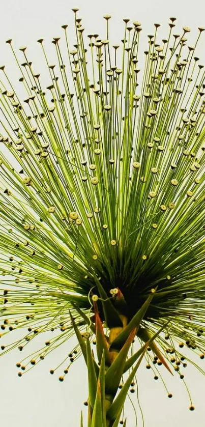 Close-up of a unique green floral design on a minimalist background.