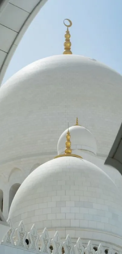 Elegant view of a mosque's dome architecture.