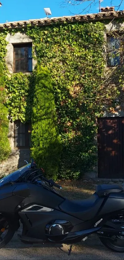 Black motorcycle parked by ivy-covered rustic house.