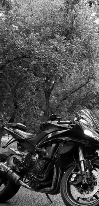 A sleek black motorcycle under lush green trees, creating a captivating contrast.