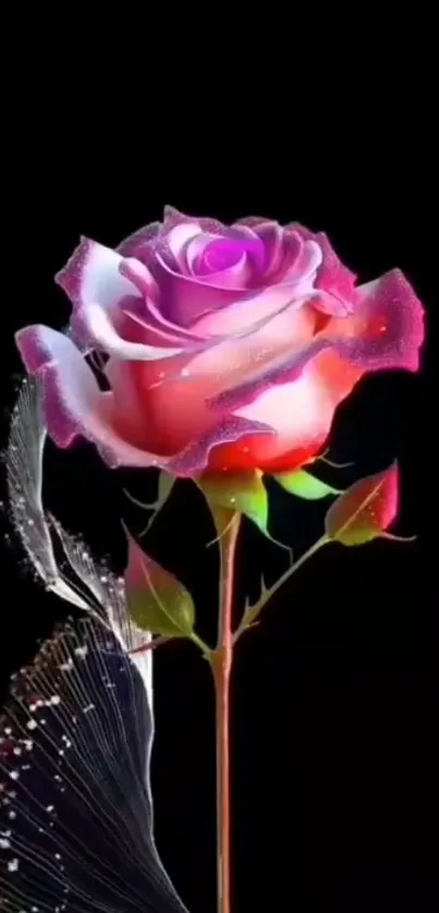 Elegant neon rose against a black background.