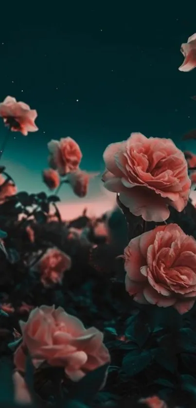 Elegant roses blooming under a starry night sky.