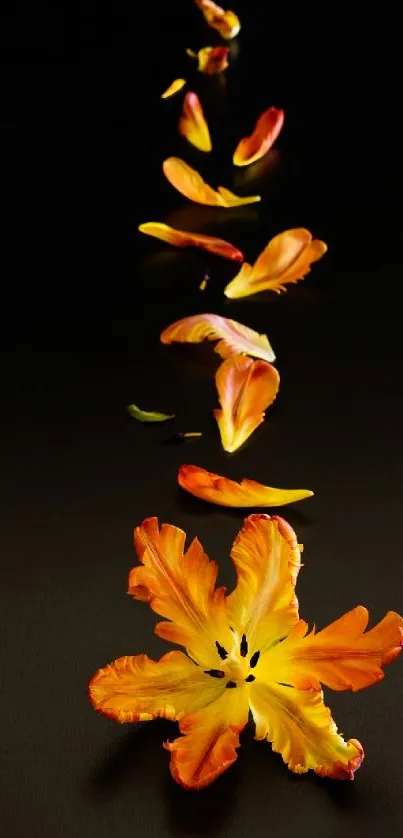 Elegant mobile wallpaper of orange flower petals on black background.