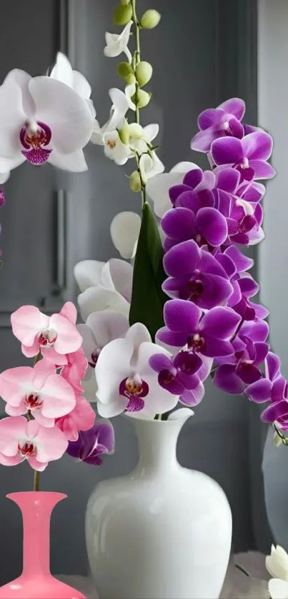 Elegant display of purple and white orchids in modern vases.