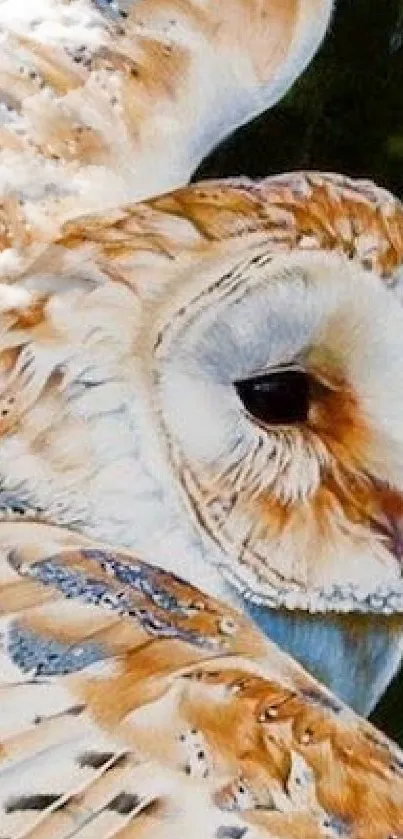 Elegant barn owl gracefully soaring through a forest scene.