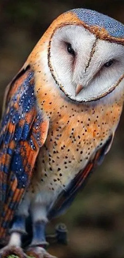 Detailed owl perched on branch, mobile wallpaper.