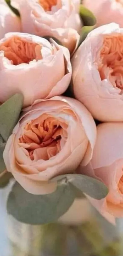 Elegant bouquet of peach-colored flowers in soft lighting.