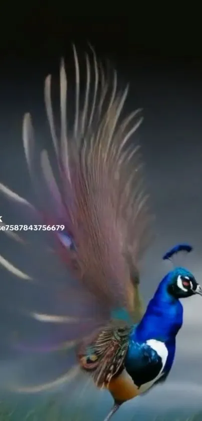 Elegant peacock with vibrant feathers in an artistic wallpaper design.