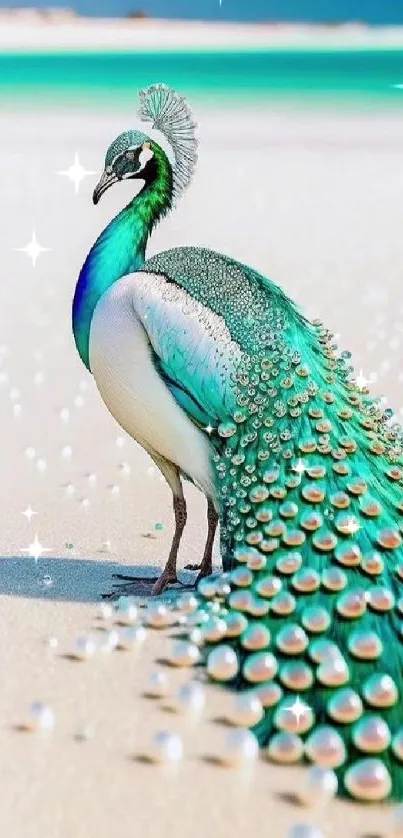 Elegant peacock stands on a turquoise beach with sandy surroundings.