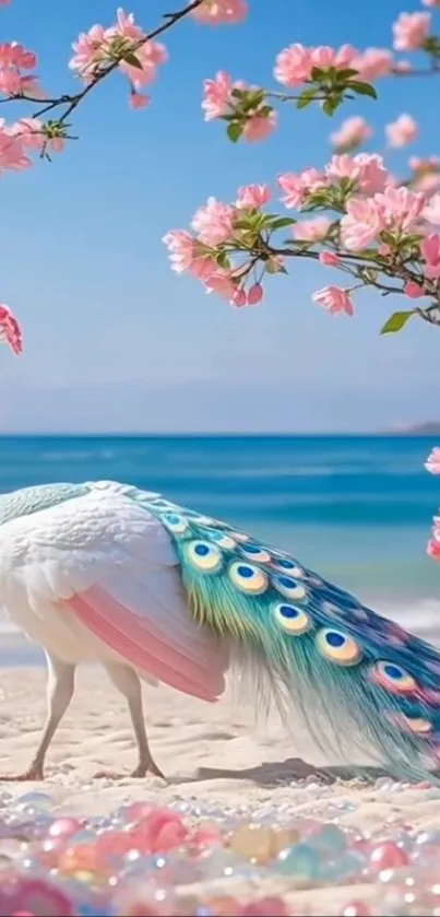 A white peacock stands elegantly on a beach with pink cherry blossoms above.