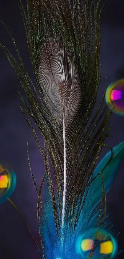 Peacock feather and bubbles on dark background wallpaper.