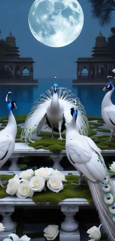 Elegant white peacocks under a full moon with white roses.