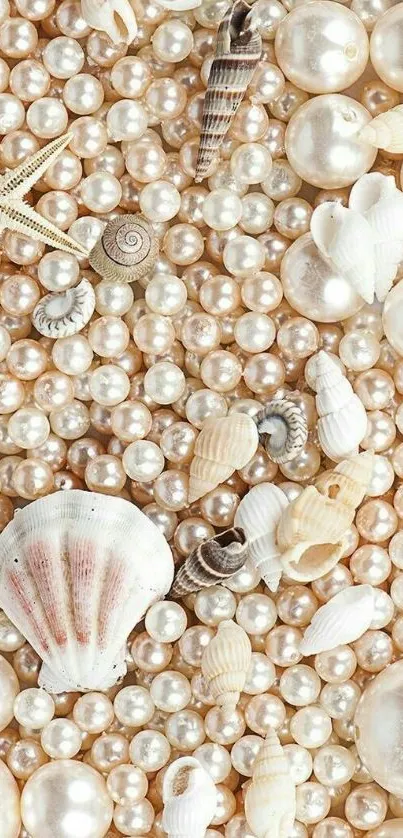 Elegant pearls and seashells wallpaper background.