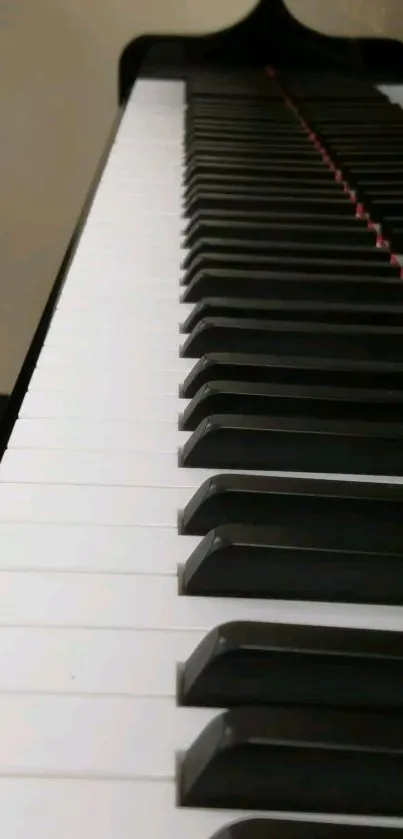 Close-up of a piano keyboard, highlighting black and white keys.