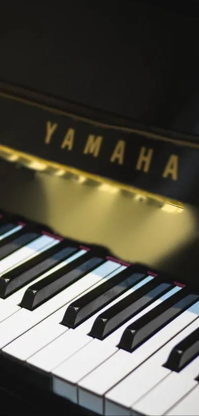 Black and white piano keys with sleek design.