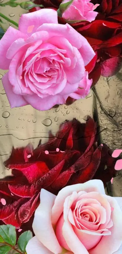 Elegant wallpaper with pink and red roses, perfect for mobile screens.