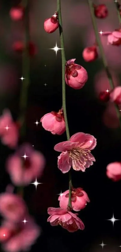 Elegant pink blossom wallpaper with delicate hanging flowers.