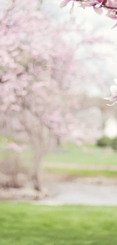 Delicate pink blossoms with serene landscape background.