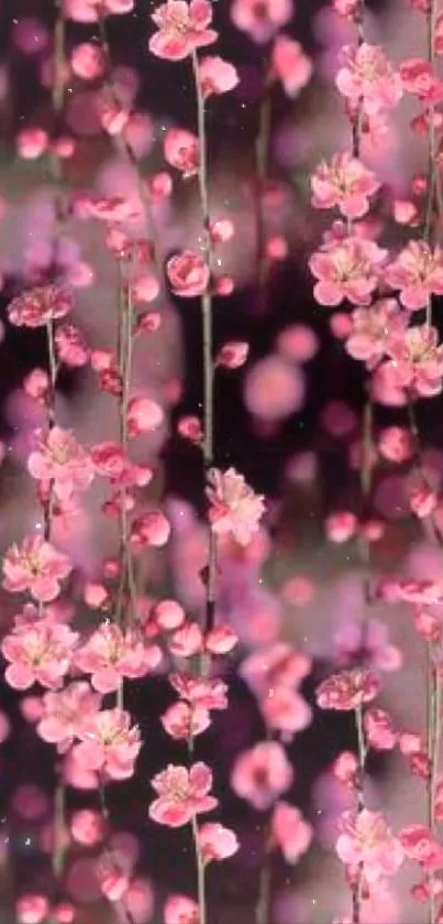Elegant pink floral wallpaper with cherry blossoms.