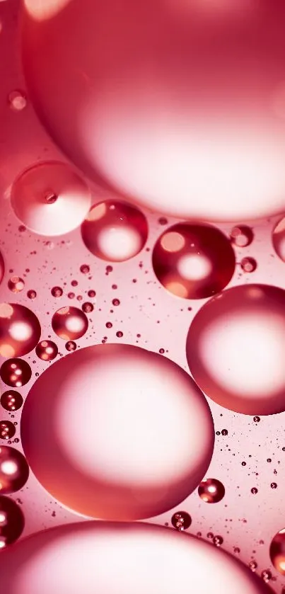 Elegant pink bubble wallpaper with an artistic and mesmerizing visual aesthetic.