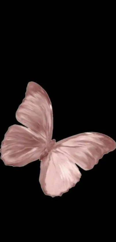 Elegant pink butterfly on black background.