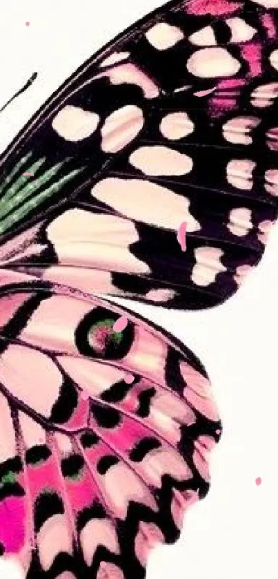 Vibrant pink butterfly mobile wallpaper design.