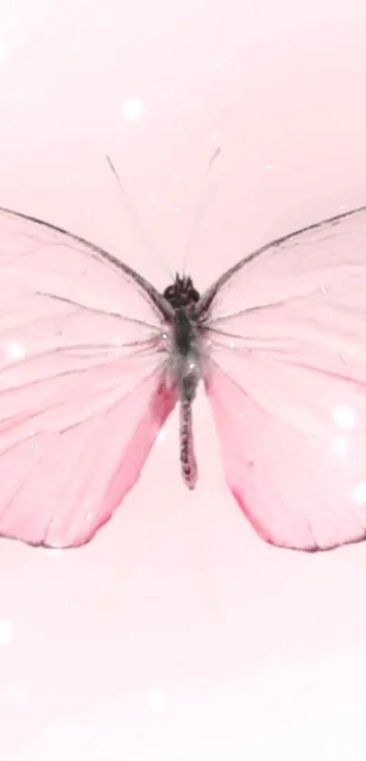 Elegant light pink butterfly with delicate shimmering wings.