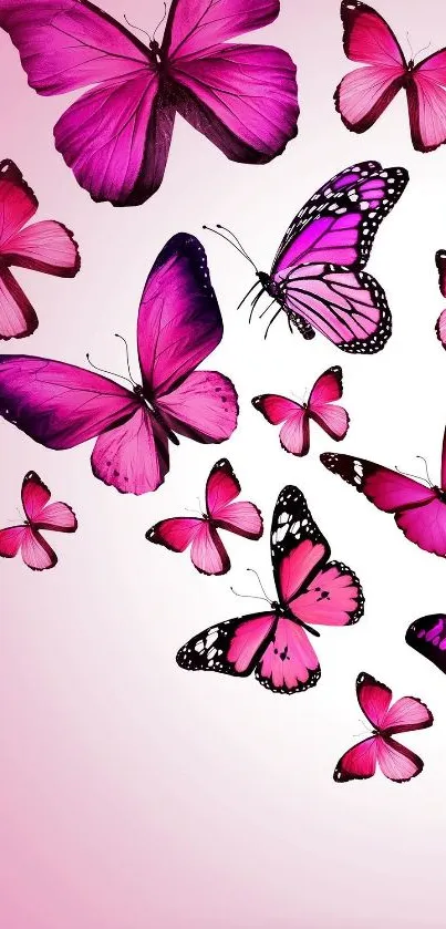 Elegant pink butterflies on a serene mobile wallpaper background.