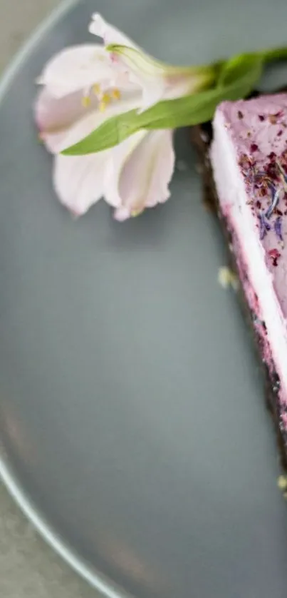 Elegant slice of pink cake with flower on plate.