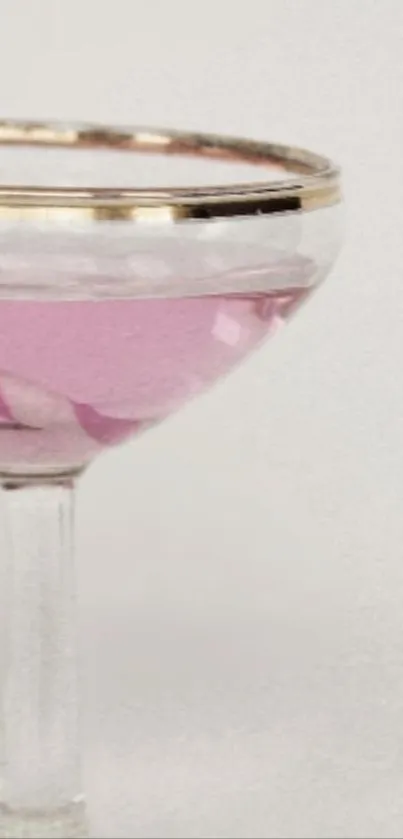 Elegant glass with pink drink on minimalist background.